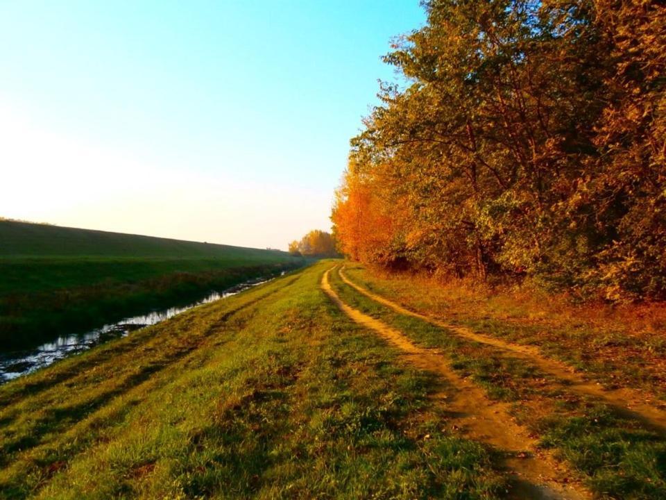 Relax Inn Šoporňa Dış mekan fotoğraf